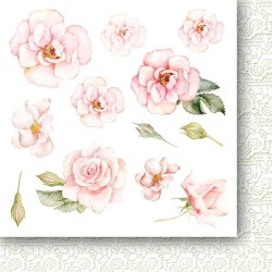 ROSE WINE - Flowers - 6 x 6
