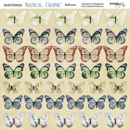 NAUTICAL GRAPHIC  - Butterflies